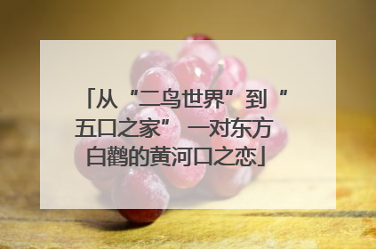 从“二鸟世界”到“五口之家” 一对东方白鹳的黄河口之恋