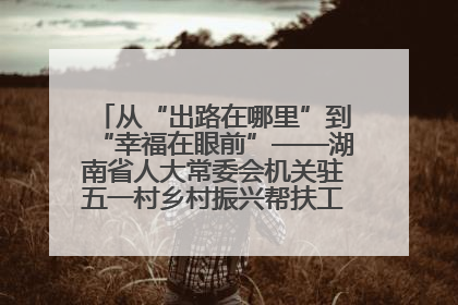 从“出路在哪里”到“幸福在眼前”——湖南省人大常委会机关驻五一村乡村振兴帮扶工作队书写振兴答卷