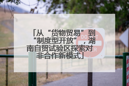 从“货物贸易”到“制度型开放”，湖南自贸试验区探索对非合作新模式