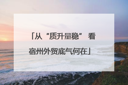 从“质升量稳” 看宿州外贸底气何在