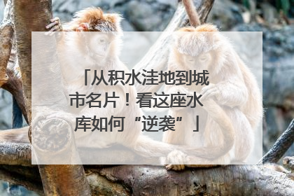 从积水洼地到城市名片！看这座水库如何“逆袭”