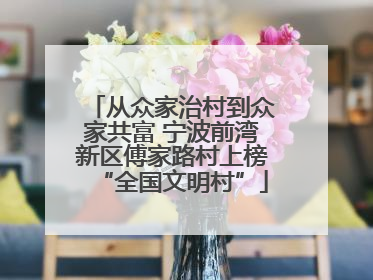 从众家治村到众家共富 宁波前湾新区傅家路村上榜“全国文明村”
