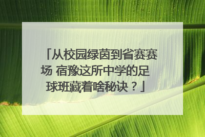 从校园绿茵到省赛赛场 宿豫这所中学的足球班藏着啥秘诀？