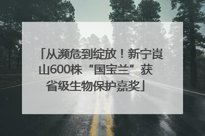 从濒危到绽放！新宁崀山600株“国宝兰”获省级生物保护嘉奖