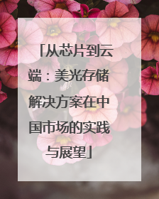 从芯片到云端：美光存储解决方案在中国市场的实践与展望