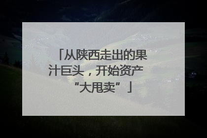 从陕西走出的果汁巨头，开始资产“大甩卖”