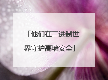他们在二进制世界守护高墙安全