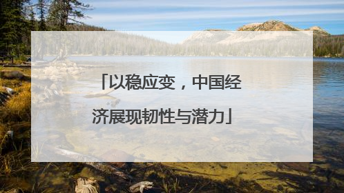 以稳应变，中国经济展现韧性与潜力