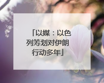 以媒：以色列筹划对伊朗行动多年
