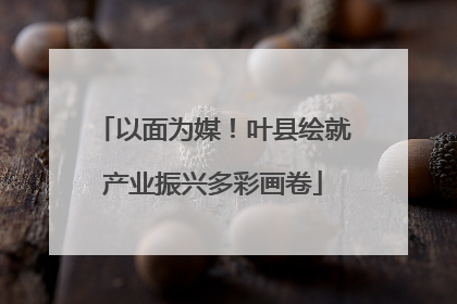 以面为媒！叶县绘就产业振兴多彩画卷
