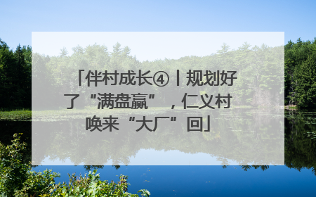 伴村成长④丨规划好了“满盘赢”，仁义村唤来“大厂”回