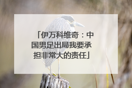 伊万科维奇：中国男足出局我要承担非常大的责任