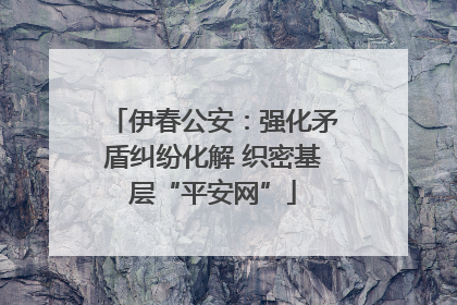 伊春公安：强化矛盾纠纷化解 织密基层“平安网”