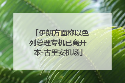 伊朗方面称以色列总理专机已离开本-古里安机场