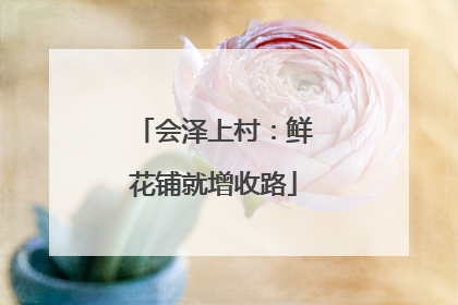 会泽上村：鲜花铺就增收路