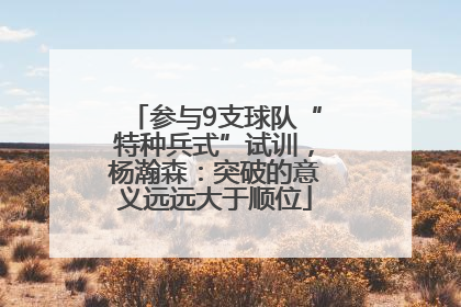 参与9支球队“特种兵式”试训，杨瀚森：突破的意义远远大于顺位