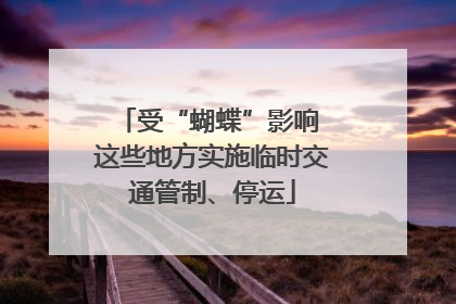 受“蝴蝶”影响 这些地方实施临时交通管制、停运