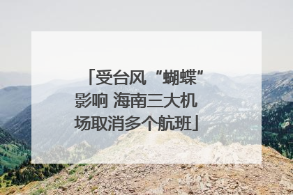 受台风“蝴蝶”影响 海南三大机场取消多个航班