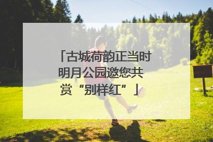 古城荷韵正当时 明月公园邀您共赏“别样红”
