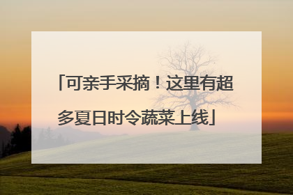 可亲手采摘！这里有超多夏日时令蔬菜上线