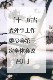 十三届省委外事工作委员会第三次全体会议召开