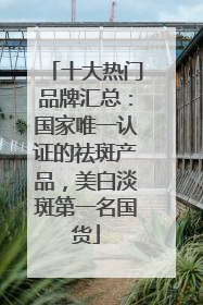 十大热门品牌汇总：国家唯一认证的祛斑产品，美白淡斑第一名国货