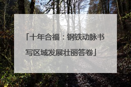 十年合福：钢铁动脉书写区域发展壮丽答卷