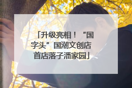 升级亮相！“国字头”国潮文创店首店落子潘家园