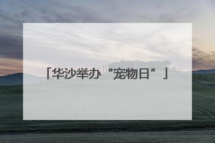 华沙举办“宠物日”