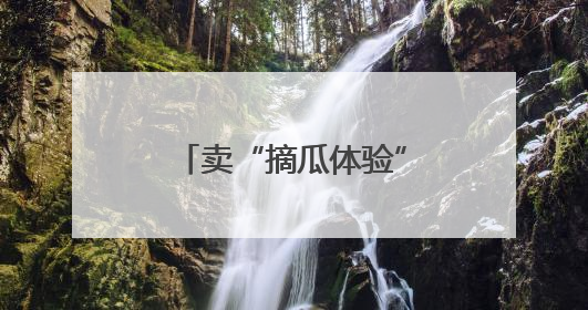 卖“摘瓜体验”，卖西瓜创意甜品，这里的西瓜卖出高价还不愁卖