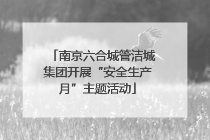 南京六合城管洁城集团开展“安全生产月”主题活动