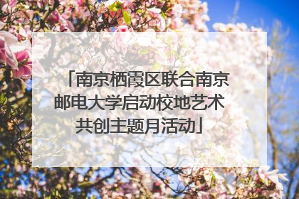 南京栖霞区联合南京邮电大学启动校地艺术共创主题月活动
