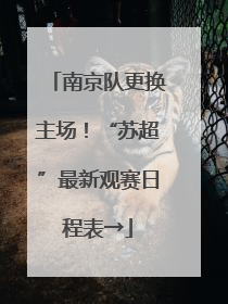 南京队更换主场！“苏超”最新观赛日程表→
