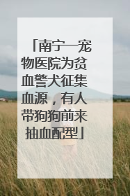 南宁一宠物医院为贫血警犬征集血源，有人带狗狗前来抽血配型