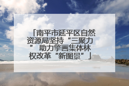 南平市延平区自然资源局坚持“三聚力” 助力擎画集体林权改革“新图景”