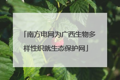 南方电网为广西生物多样性织就生态保护网