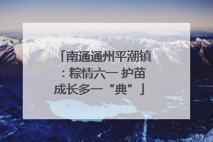 南通通州平潮镇：粽情六一 护苗成长多一“典”