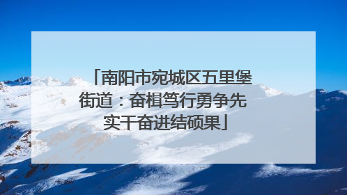 南阳市宛城区五里堡街道：奋楫笃行勇争先 实干奋进结硕果