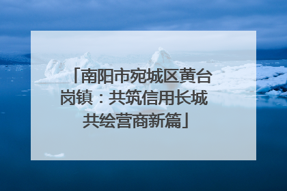 南阳市宛城区黄台岗镇：共筑信用长城 共绘营商新篇
