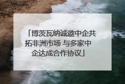 博茨瓦纳诚邀中企共拓非洲市场 与多家中企达成合作协议