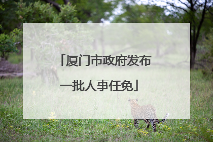 厦门市政府发布一批人事任免