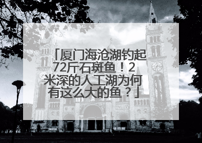 厦门海沧湖钓起72斤石斑鱼！2米深的人工湖为何有这么大的鱼？