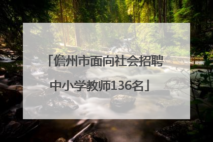 儋州市面向社会招聘中小学教师136名