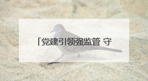 党建引领强监管 守护民生“水电气”