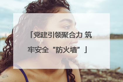 党建引领聚合力 筑牢安全“防火墙”