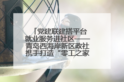 党建联建搭平台 就业服务进社区——青岛西海岸新区政社携手打造“零工之家”就业服务新阵地