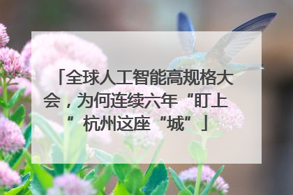 全球人工智能高规格大会，为何连续六年“盯上”杭州这座“城”