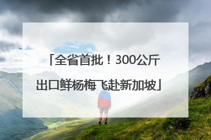 全省首批！300公斤出口鲜杨梅飞赴新加坡