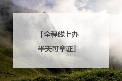 全程线上办 半天可拿证