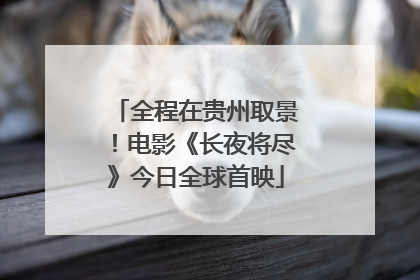 全程在贵州取景！电影《长夜将尽》今日全球首映